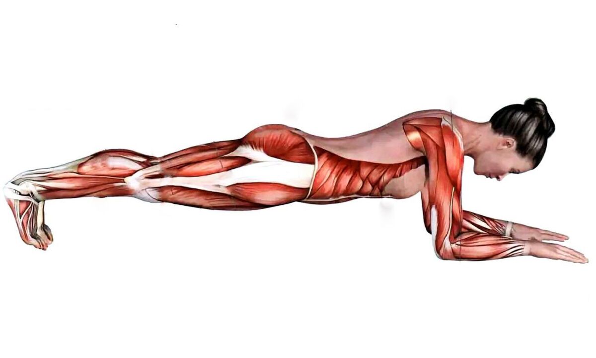 que músculos traballan cando plancha