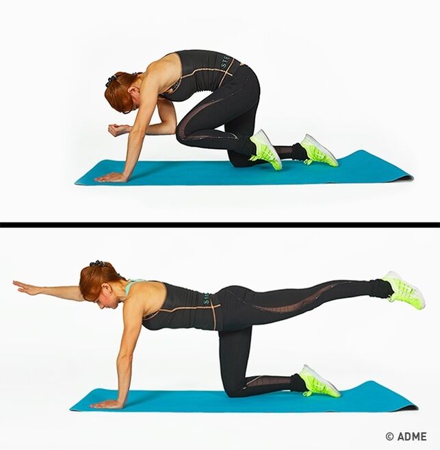 exercicios